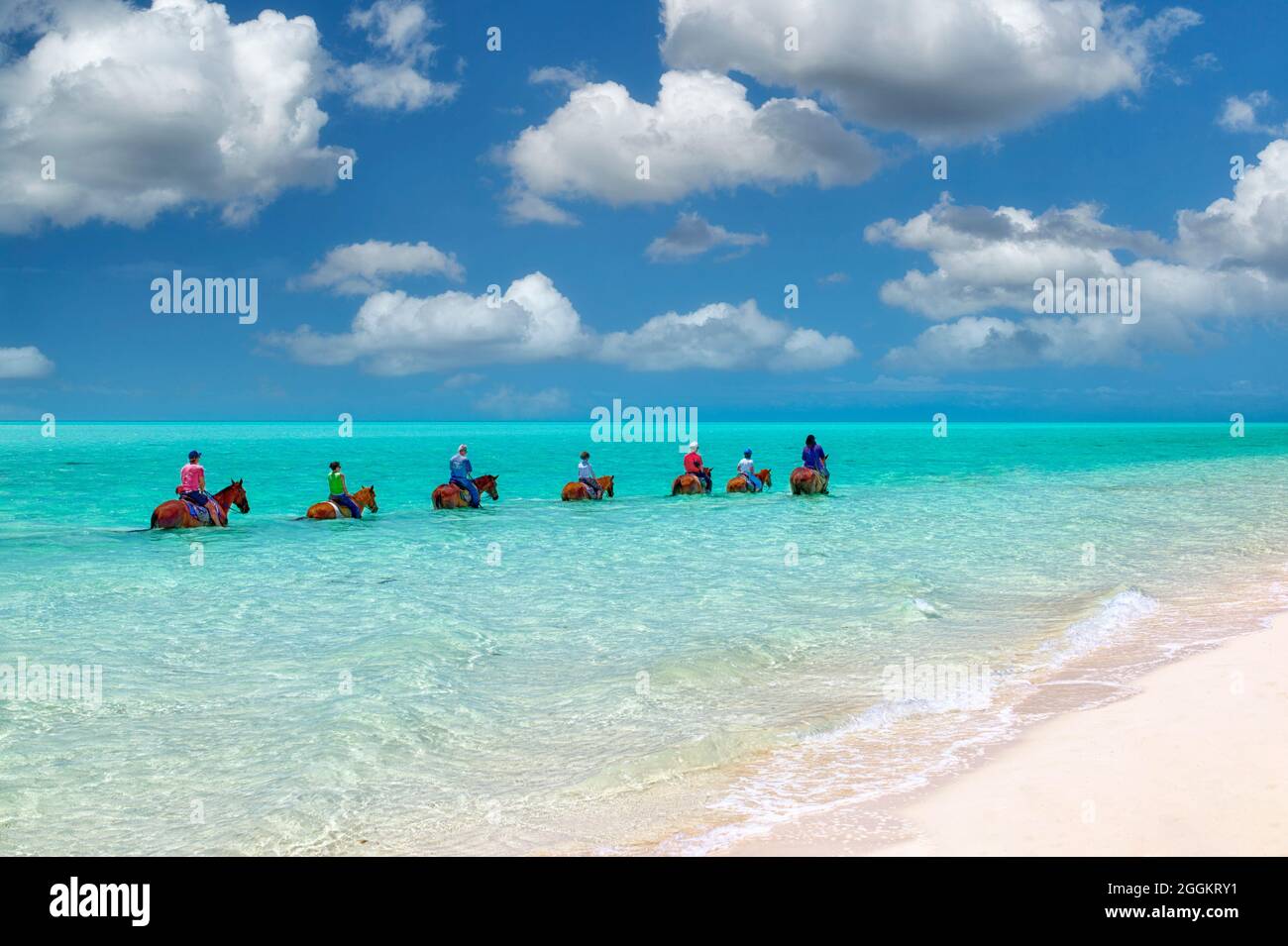 Gruppe von Reitern im Wasser. Providenciales. Turks- und Caicosinseln. Stockfoto