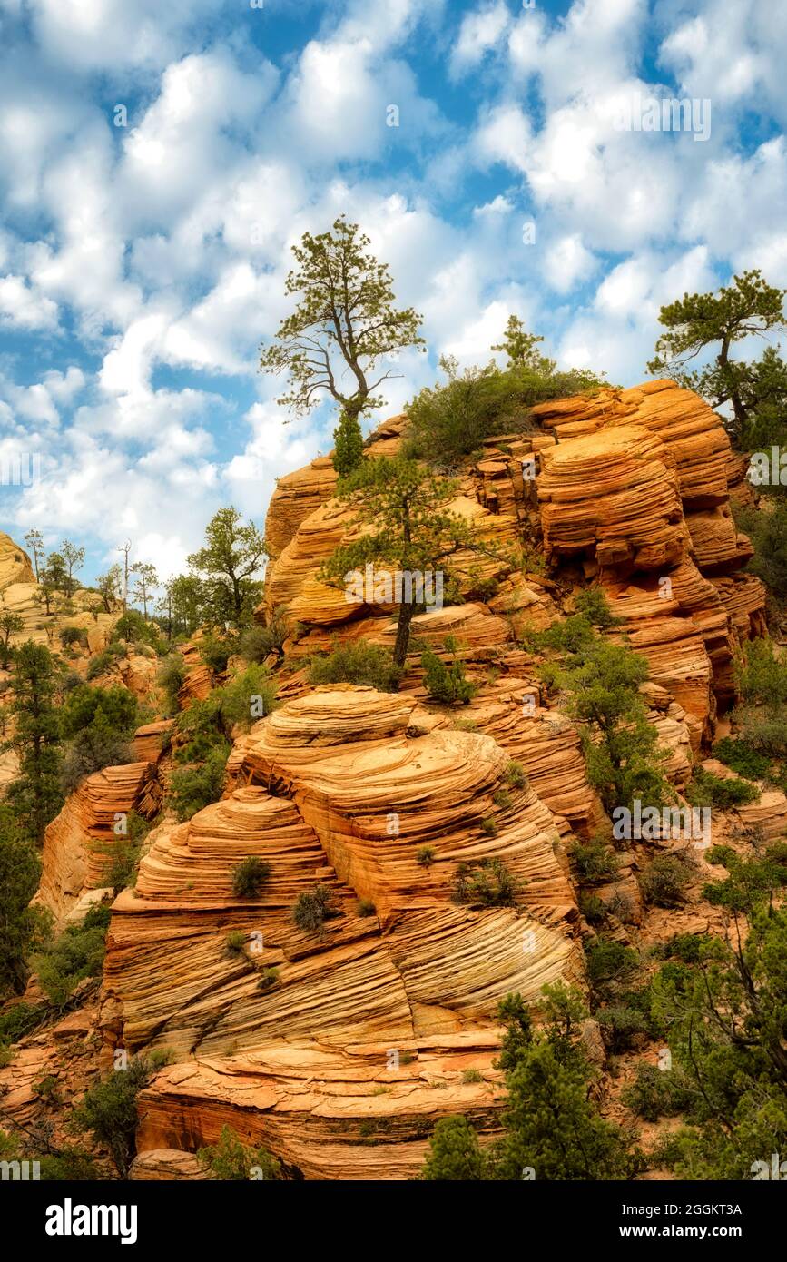 Blick auf die Felsformationen im Zion National Par, Utah Stockfoto