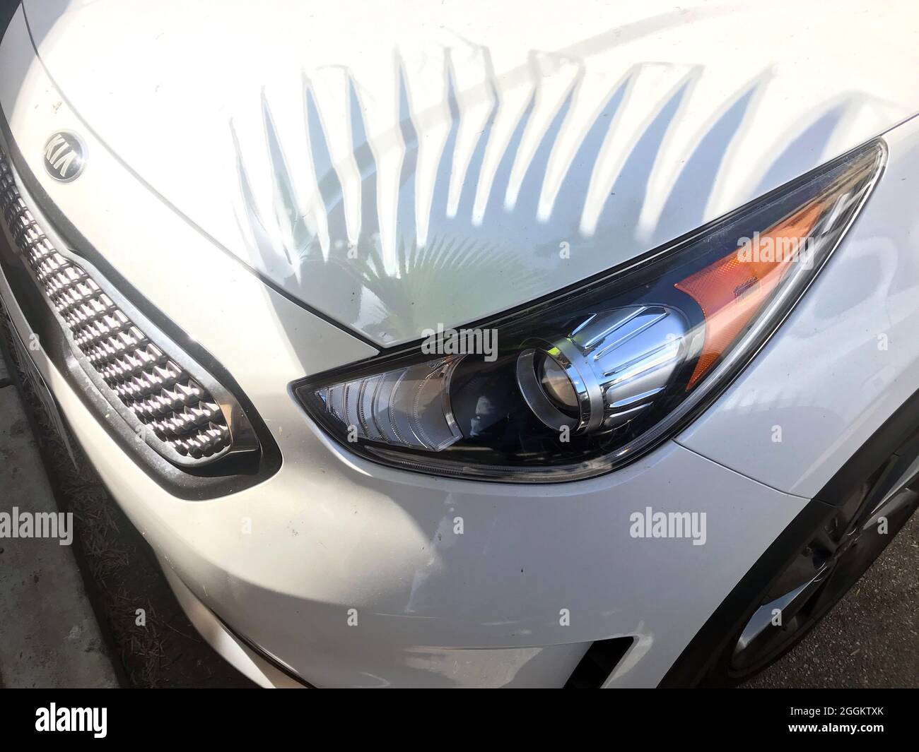 Geparktes Auto mit dem Schatten einer Palme, die an eine Wimpern auf dem Scheinwerfer erinnert. Stockfoto