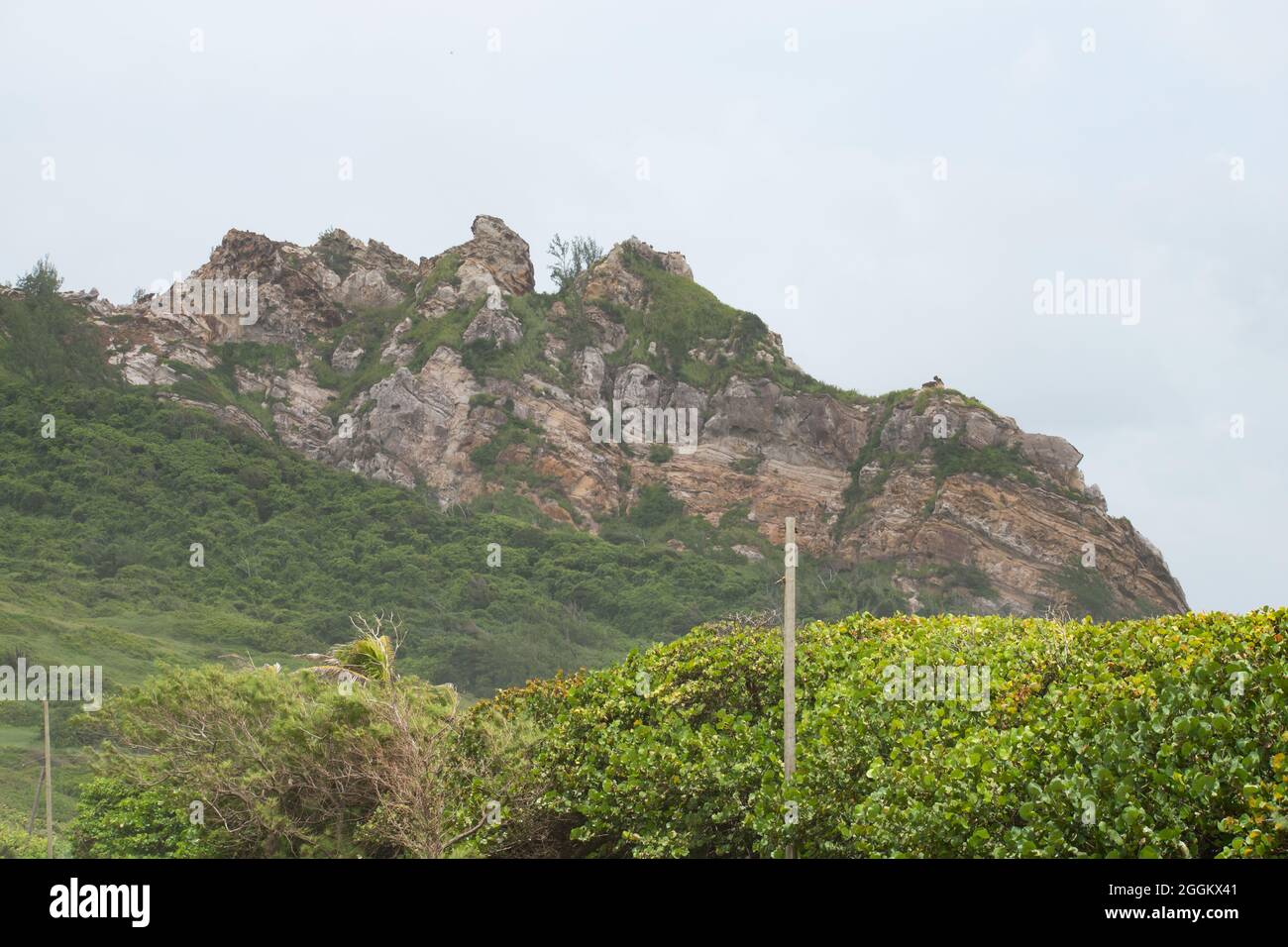 Eine Gesteinsformation, die an der Ostküste von Barbados gefunden wurde und als „schlafender Riese“ bezeichnet wird Stockfoto