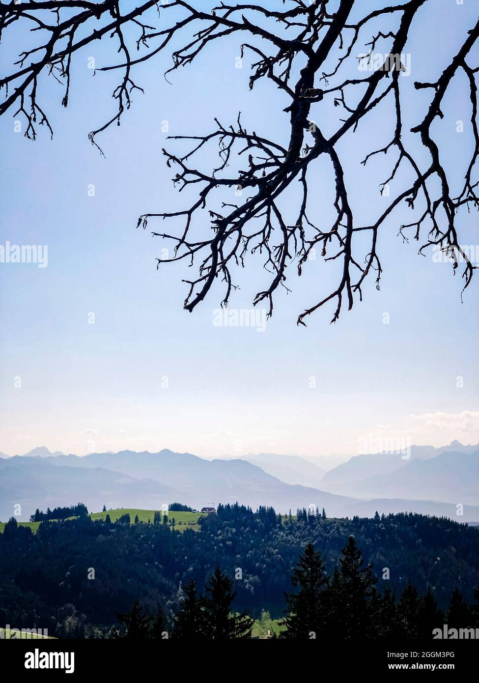 Gäbris, Alpen, Appenzell, Schweiz Stockfoto