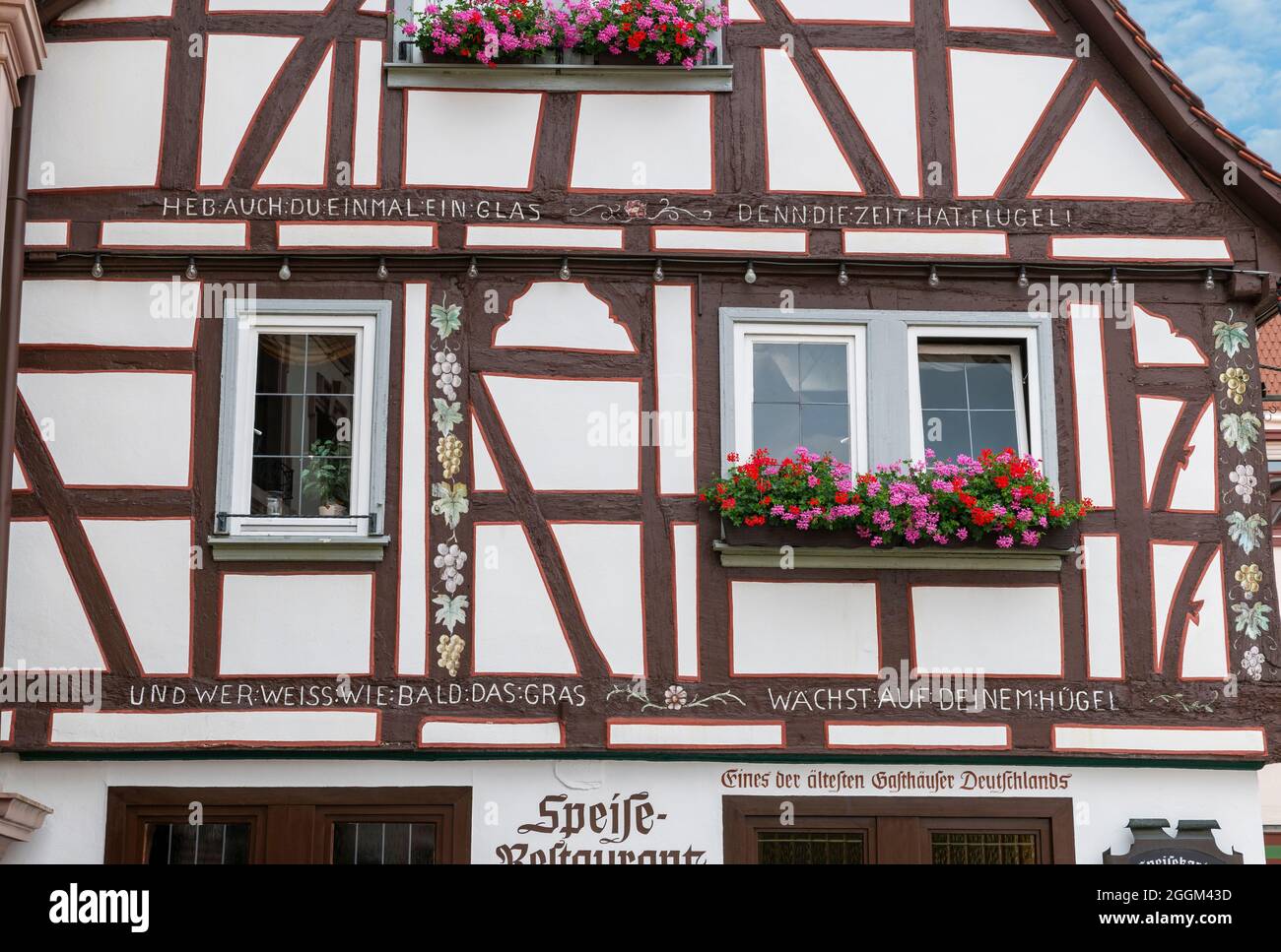 Deutschland, Hessen, Erbach, Fachwerkhaus, Toast im Gasthaus zum Hirsch, einem der ältesten Gasthäuser Deutschlands. Toast: 'Auch du solltest ein Glas hochheben, denn die Zeit hat Flügel, und wer weiß, wie bald das Gras auf deinem Hügel wachsen wird.' Erbach liegt im Geo-Naturpark Bergstraße-Odenwald an der Nibelungenstraße, dem hessischen Fernradweg und dem 3-Länder-Radweg. Stockfoto