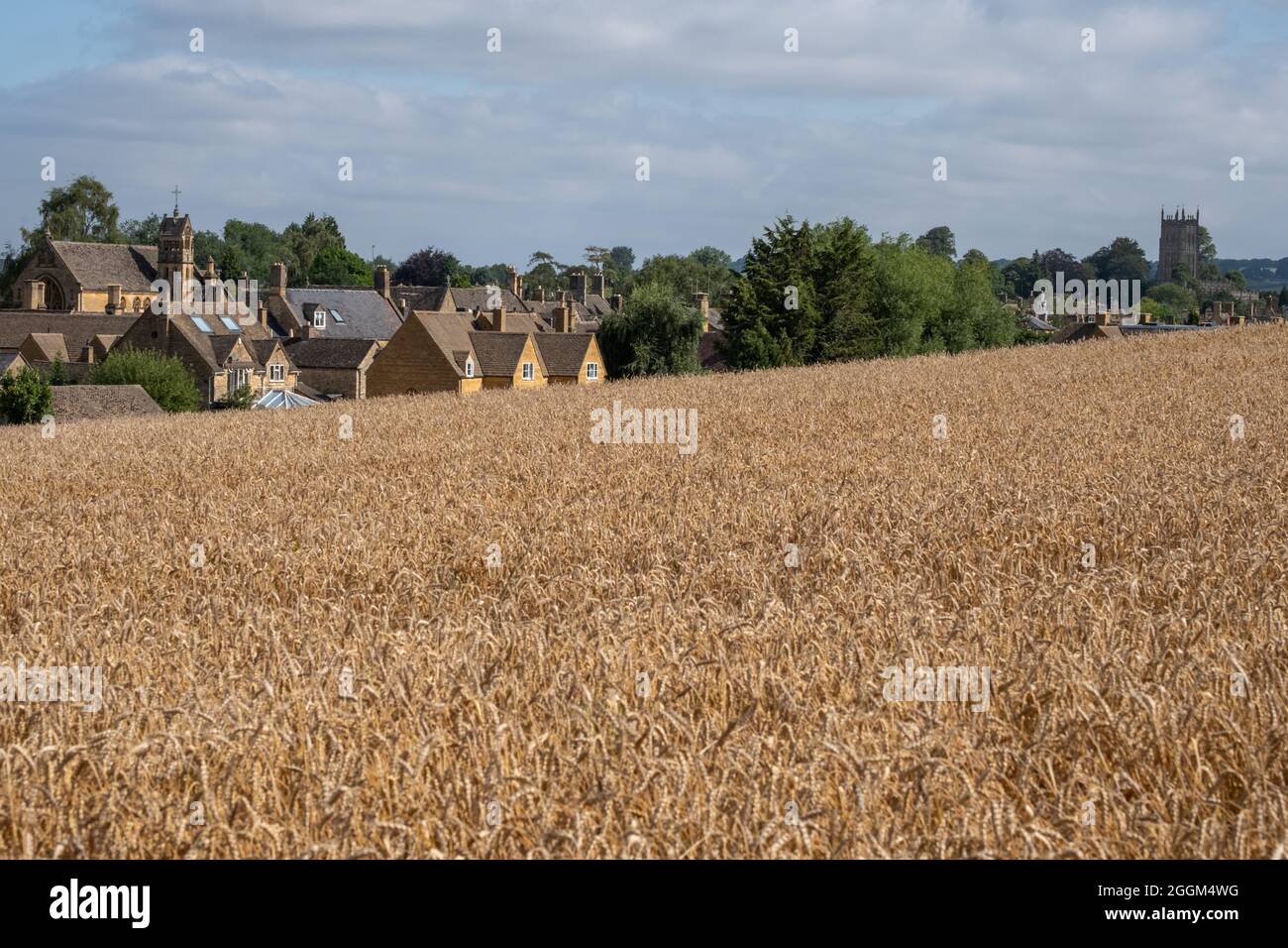 Die Cotswold-Stadt Chipping Campden, Gloucestershire, Großbritannien am Horizont. Fotografiert im Spätsommer mit einem Weizenfeld im Vordergrund. Stockfoto
