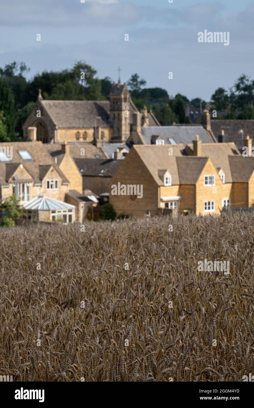 Die Cotswold-Stadt Chipping Campden, Gloucestershire, Großbritannien am Horizont. Fotografiert im Spätsommer mit einem Weizenfeld im Vordergrund. Stockfoto
