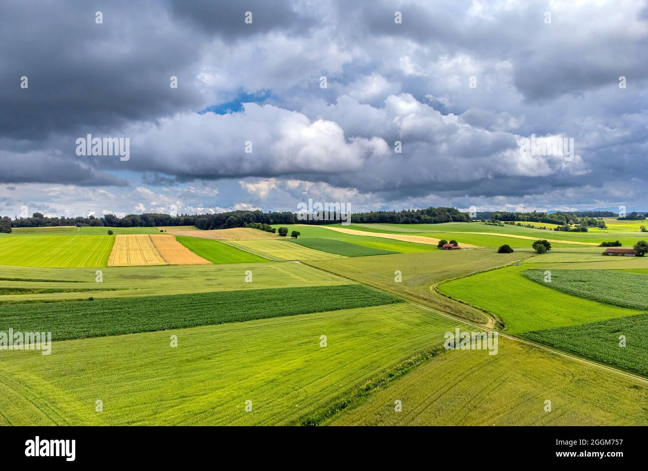 Grüne Felder und Wiesen, bei Andechs, Pfaffenwinkel, Luftbild, Oberbayern, Bayern, Deutschland, Europa Stockfoto