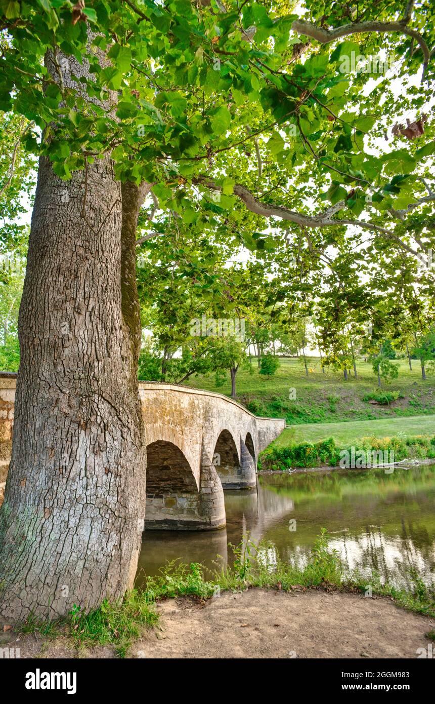 Die steinerne Burnside Bridge über Antietam Creek im Antietam National Battlefield in Maryland. Stockfoto