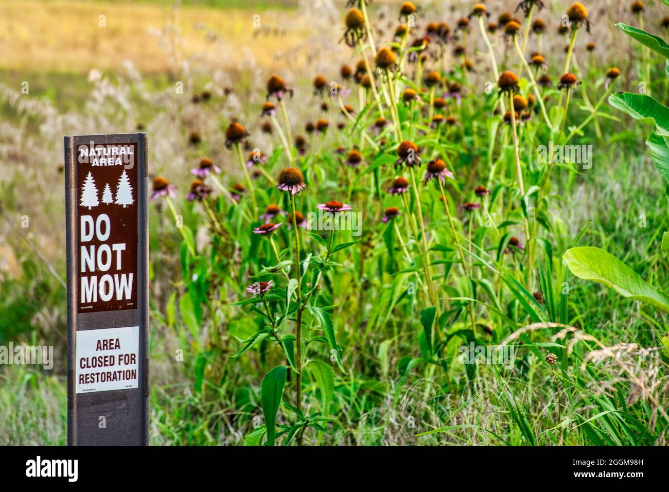 Schutzmarke für Naturgebiete bei Antietam Creek im Antietam National Battlefield in Maryland. Stockfoto