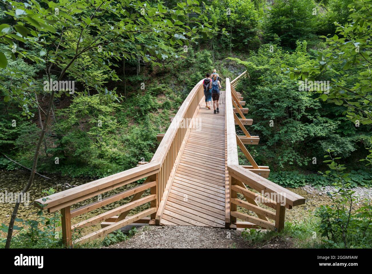 Wanderer auf der 1. Wiener Wasserleitungsweg, der Wanderweg führt im Höllental über eine Brücke über die Schwarza, zwischen Hirschwang und Kaiserbrunn, Niederösterreich, Österreich Stockfoto