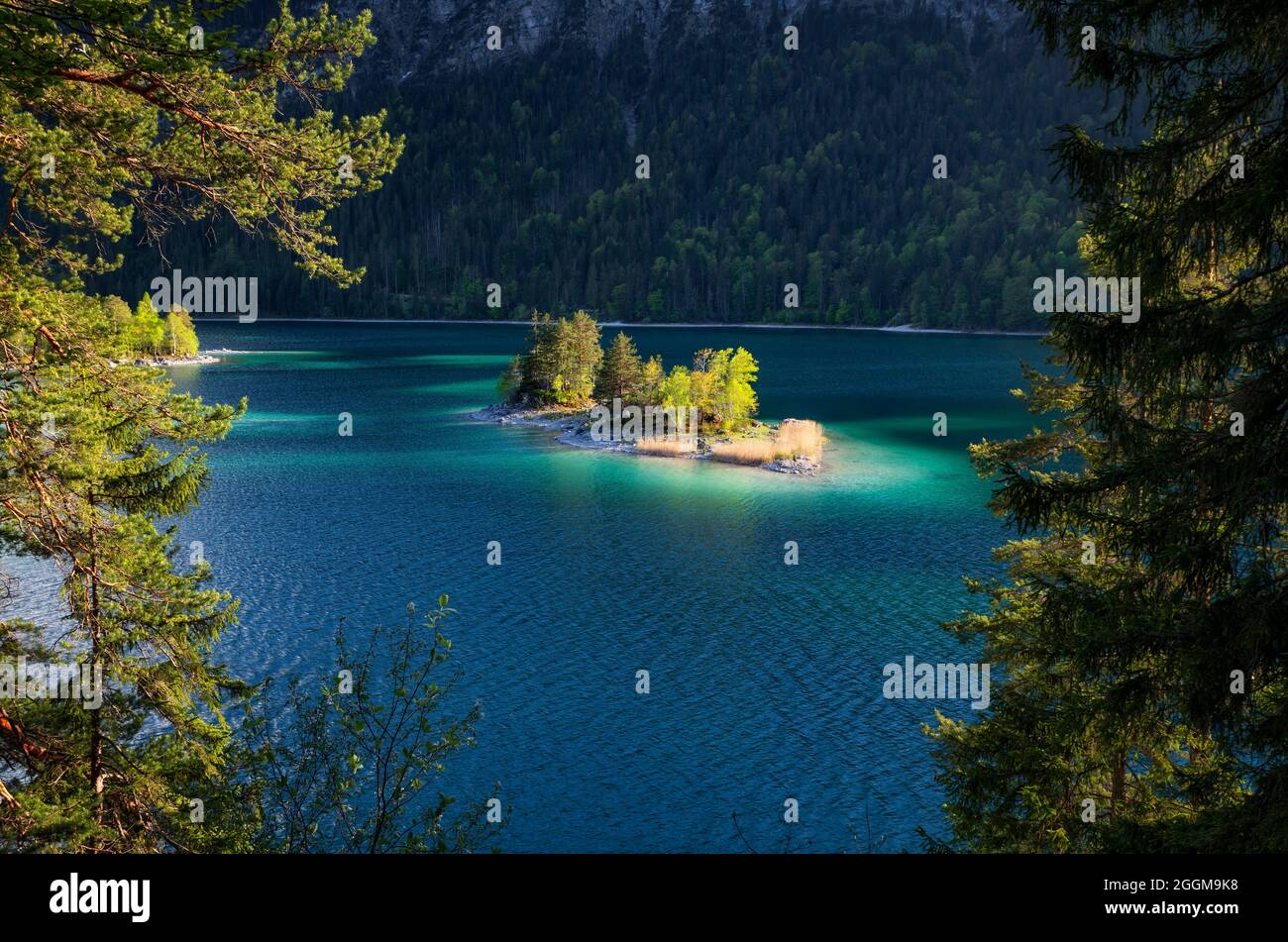 Türkisfarbener Eibsee mit einer kleinen Insel im Sommer. Grainau, Bayern, Deutschland, Europa Stockfoto