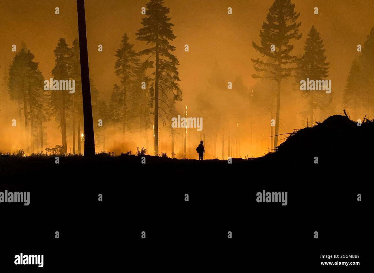 Feuerwehrmann, der nachts eine Feueraktion durchführt das Dixie Fire ist ein Waldfeuer, das Greenville, Kalifornien, zu Boden verbrannte und bis Ende August 2021 in den kalifornischen Grafschaften Butte, Plumas und Tehama 844,082 Hektar Land verbrannt hat. Der Brand, der am 13. Juli 2021 begann, ist der größte aufgezeichnete Brandkomplex in der Geschichte Kaliforniens. Die Dürrebedingungen in Kalifornien haben die Feuersaison 2021 extrem gemacht. Stockfoto
