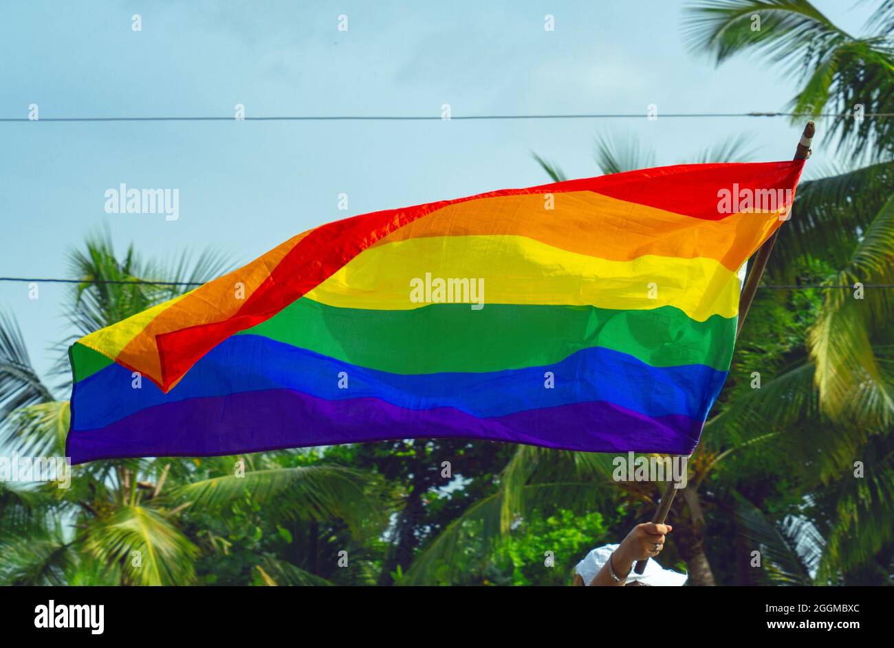 Eine Hand hält eine große Regenbogenfahne zur Unterstützung der LGBTQ-Bewegung, im Hintergrund grüne Bäume. Stockfoto