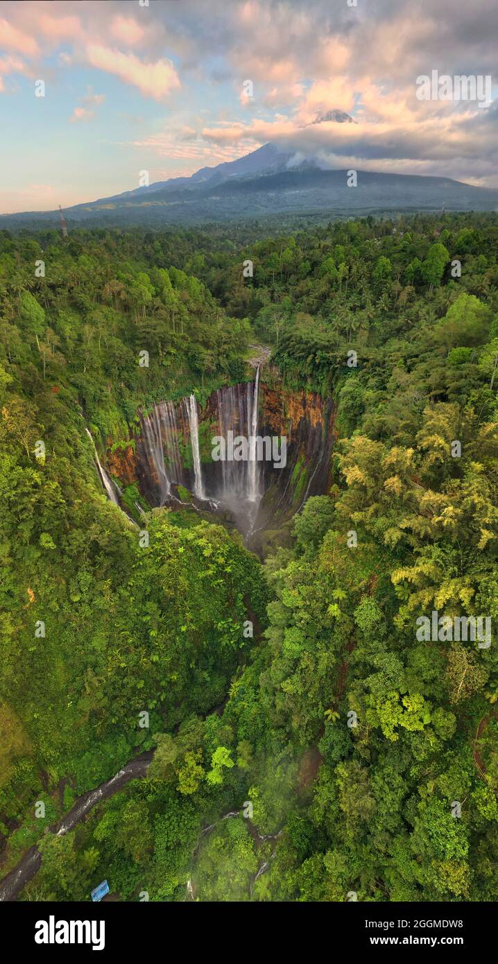 Der Tumpak Sewu, auch bekannt als Coban Sewu, ist ein stufenweise Wasserfall, der sich zwischen dem Pronojiwo District, dem Lumajang Regency und dem Ampelgading befindet Stockfoto