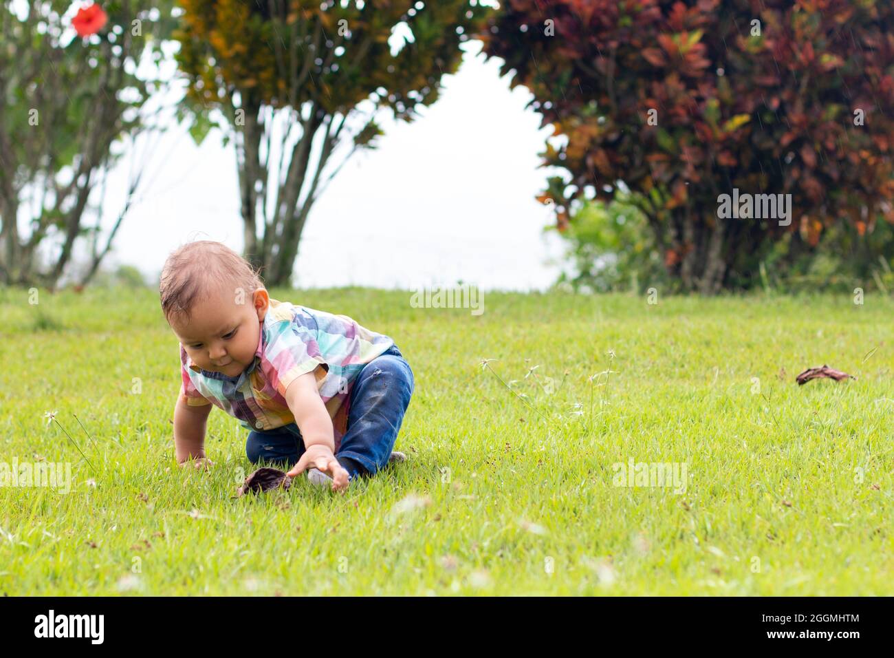 Baby spielt allein auf dem Rasen eines Parks, umgeben von Natur. Stockfoto