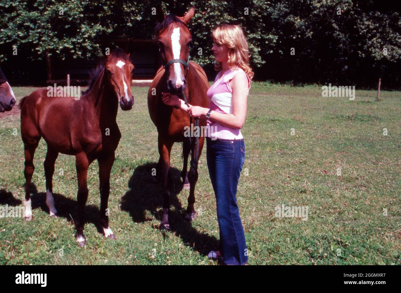 Susanne Birkenstock, deutsche Unternehmerin, mit Stute und Fohlen im Stall in Bad Honnef, Deutschland 2004. Die deutsche Unternehmerin Susanne Birkenstock mit Stute und Fohlen in einem Stall in Bad Honnef, Deutschland 2004. Stockfoto