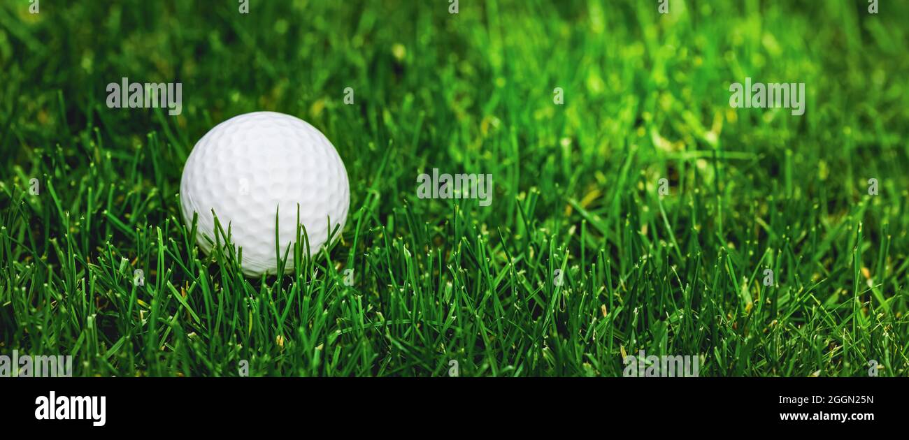 Golfball auf grünem Gras. Banner kopieren Raum Stockfoto