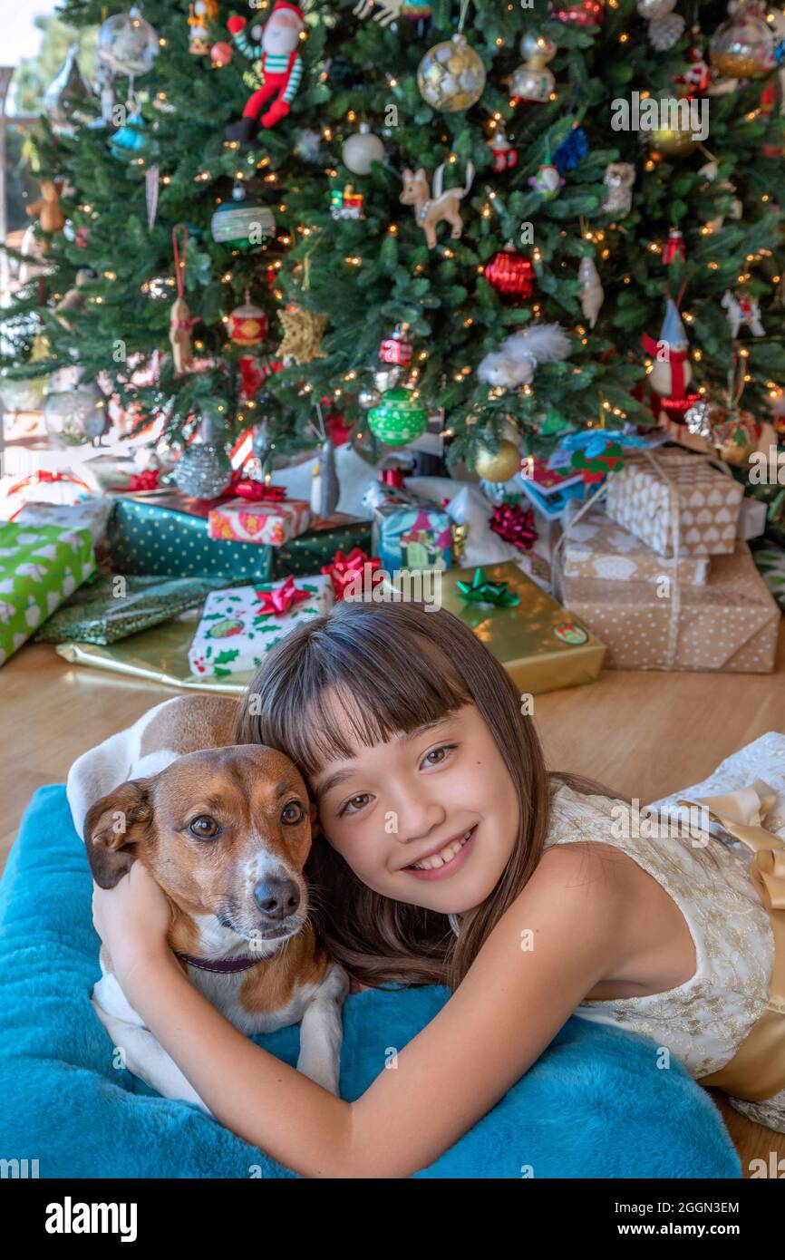 Acht Jahre altes Mädchen mit ihrem Hund vor dem Weihnachtsbaum Stockfoto