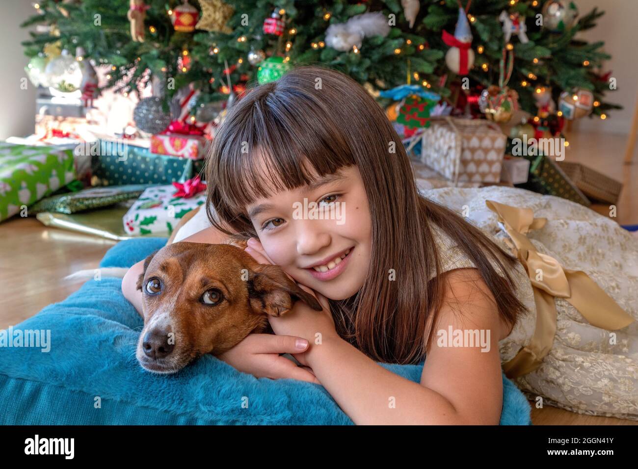 Das achtjährige Mädchen und ihr Hund liegen vor dem Weihnachtsbaum Stockfoto