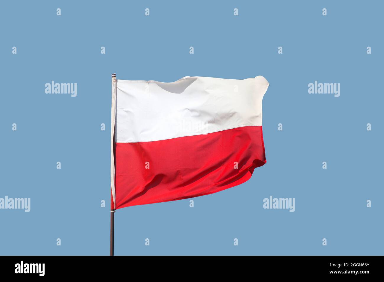 Polnische Flagge auf Fahnenmast auf blauem Himmel Hintergrund fliegen Stockfoto