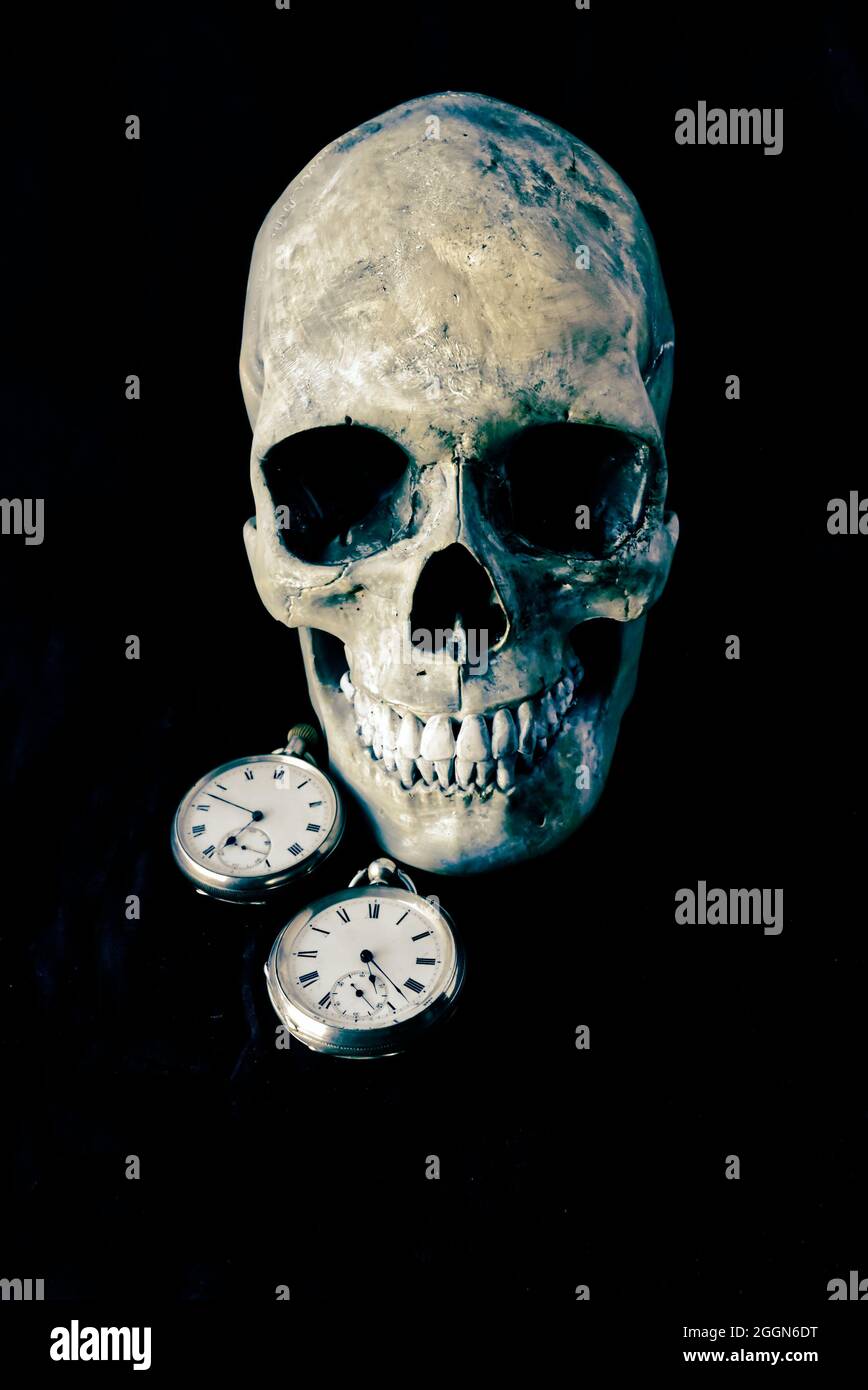 Menschlicher Totenkopf auf schwarzem Hintergrund, daneben 2 silberne Taschenuhren, die verschiedene Zeiten erzählen. Stockfoto