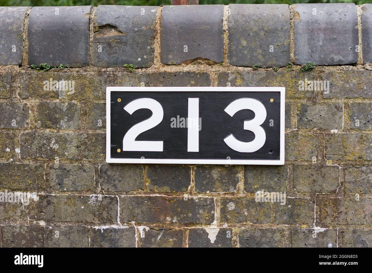 Die Nummer 213 auf einer Ziegelmauer am alten Bahnhof von Spetisbury, Dorset Stockfoto