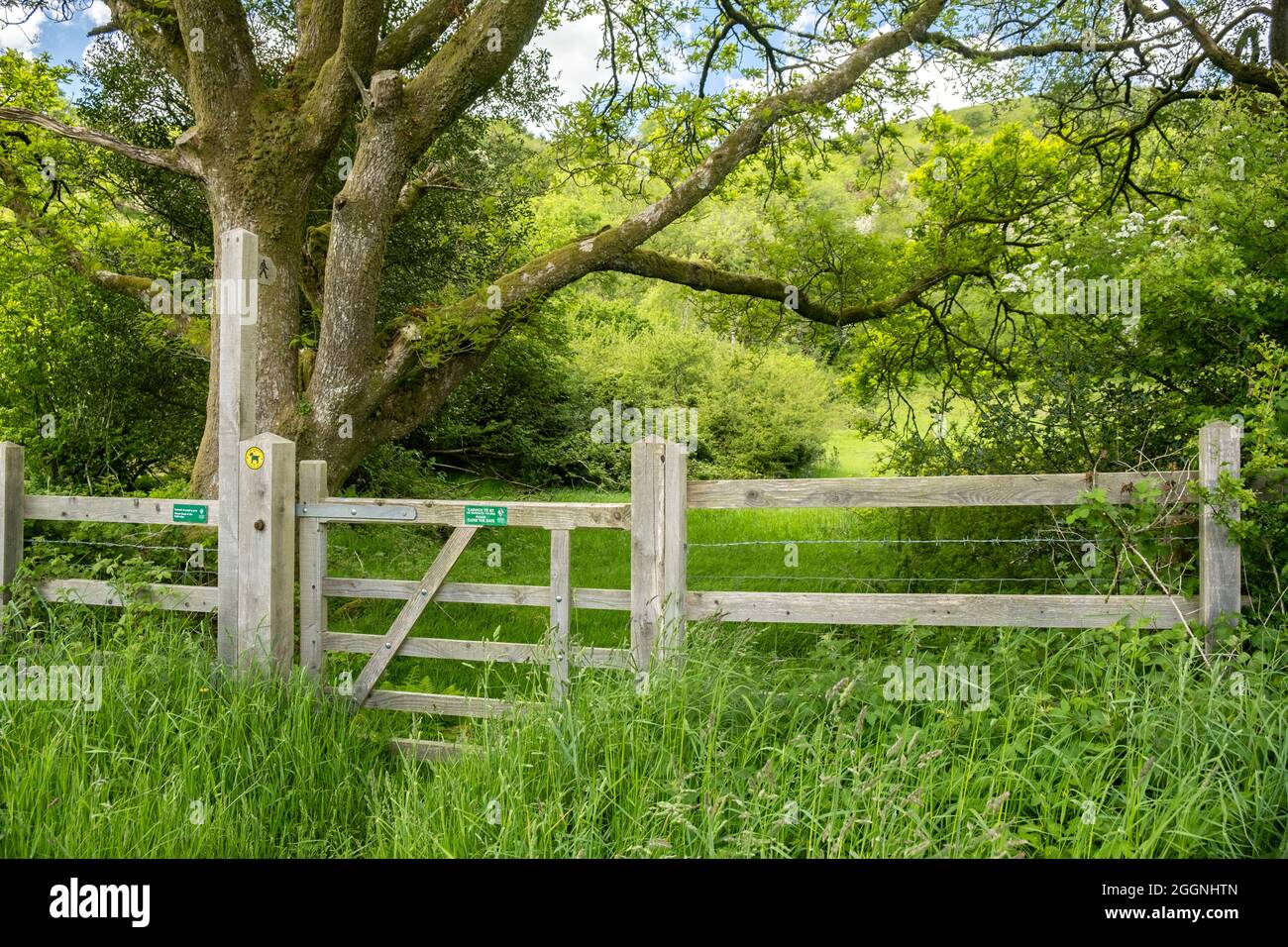 Eingang zum ländlichen Fußweg Pembrokeshire Wales Stockfoto