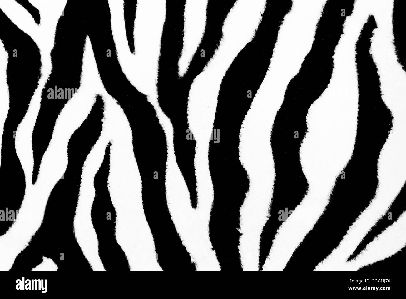 Abstrakte Pelzmuster-Textur mit Zebra-Tierhaut für Design und Druckhintergrund. Stockfoto