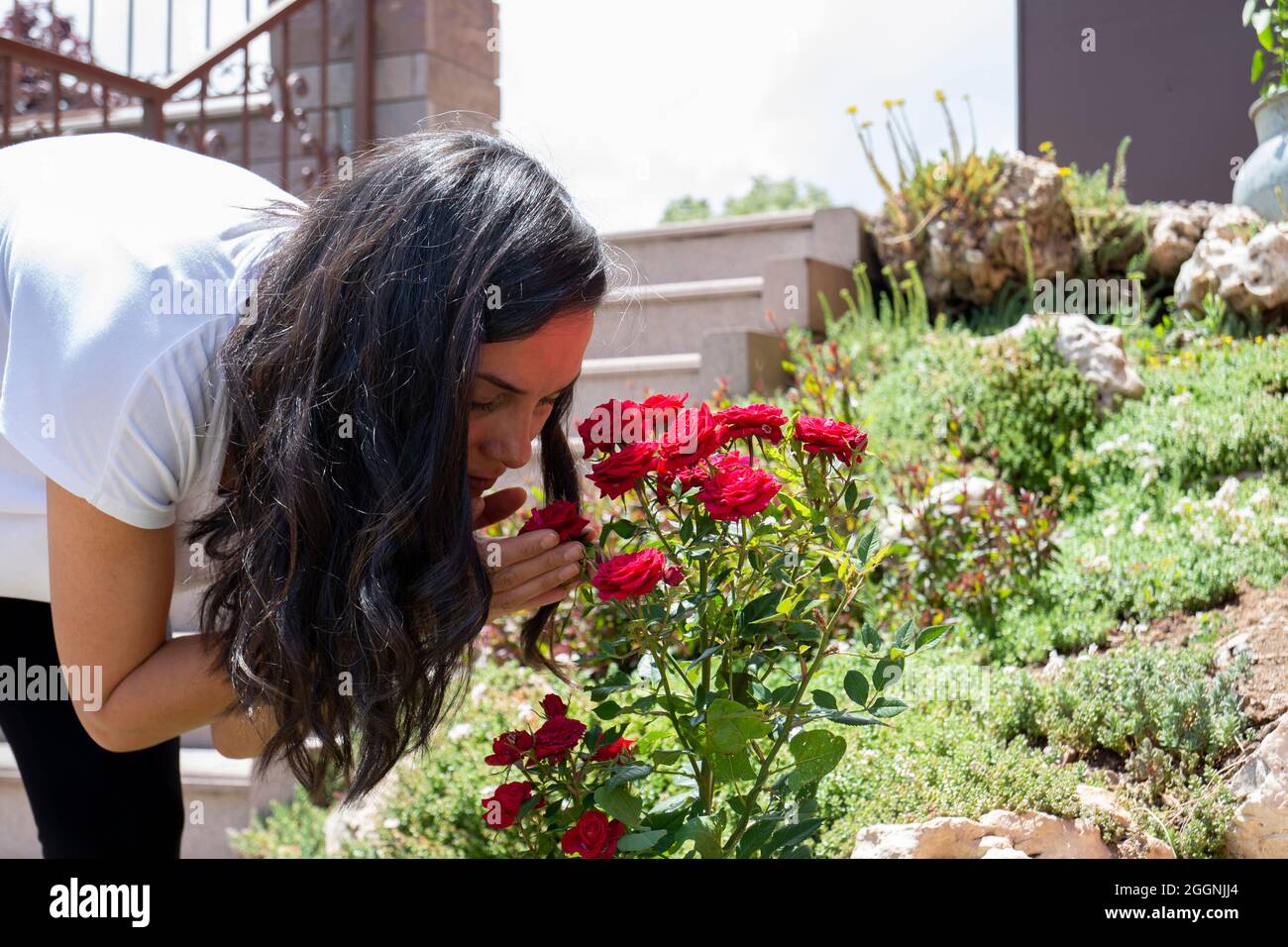 Junge Frau pflegt Rosen im Garten. Selektiver Fokus Stockfoto