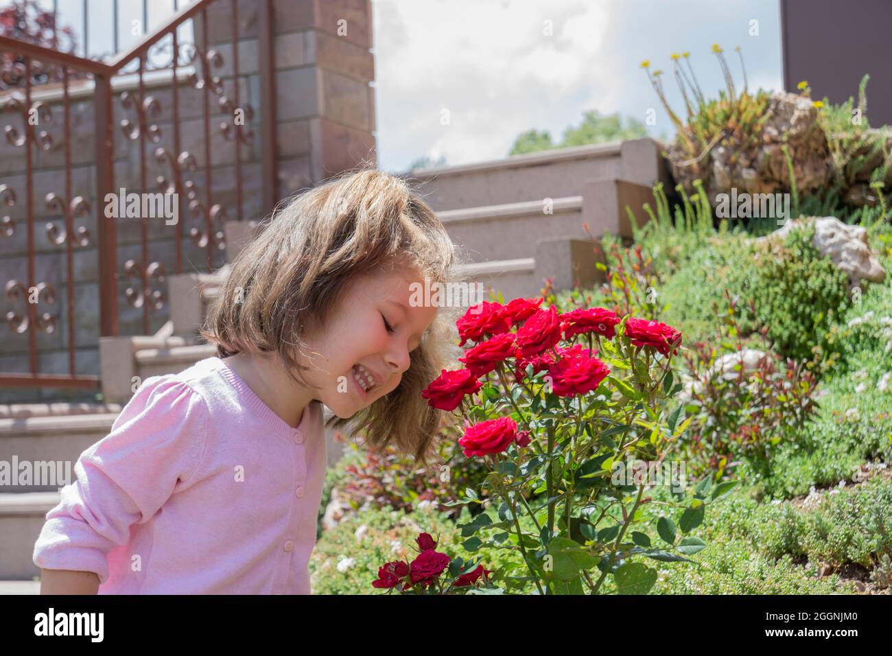 Kleines Mädchen pflegt Rosen im Garten. Selektiver Fokus Stockfoto