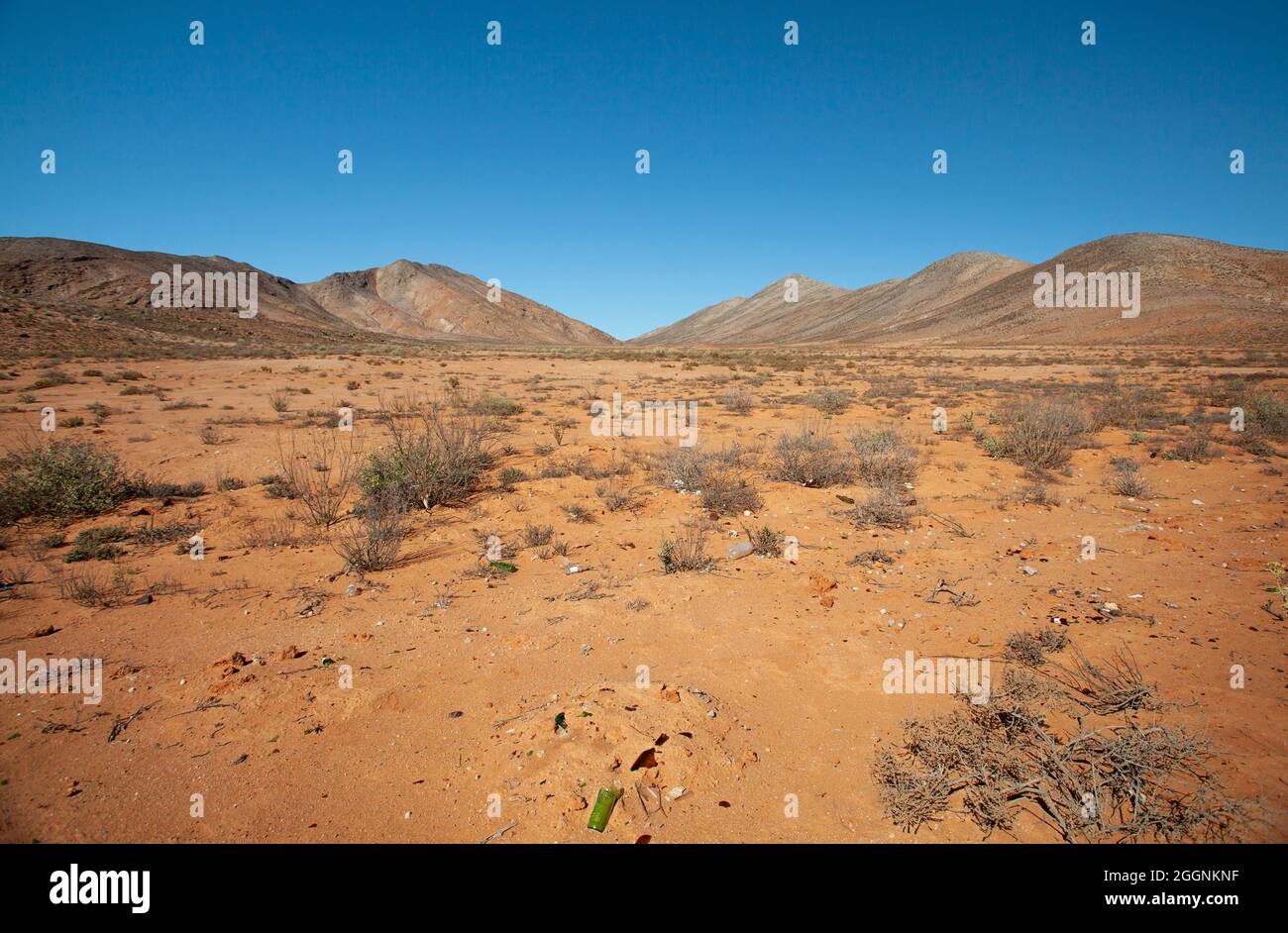 Feurige Erde: Der reiche rötlich-orange Boden von Namaqualands Richtersveld Stockfoto