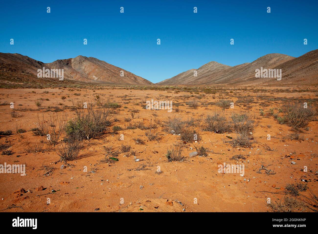 Feurige Erde: Der reiche rötlich-orange Boden von Namaqualands Richtersveld Stockfoto