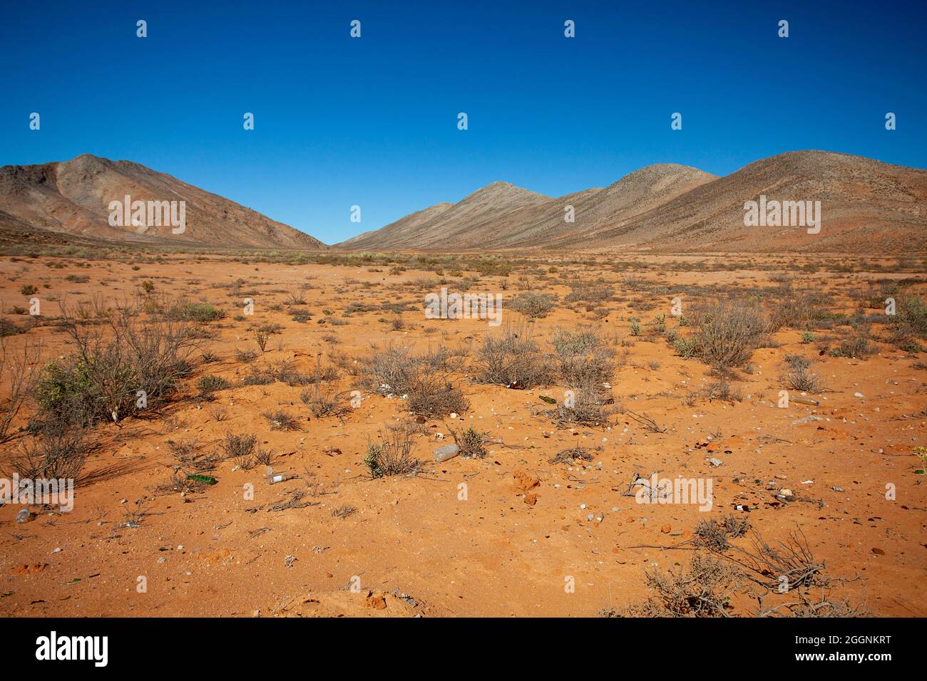 Feurige Erde: Der reiche rötlich-orange Boden von Namaqualands Richtersveld Stockfoto