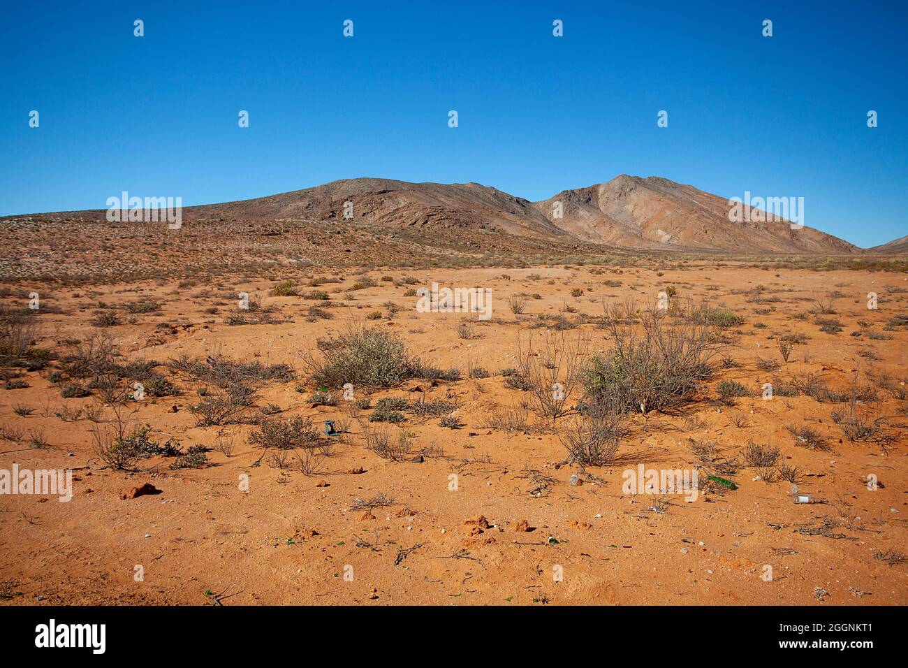 Feurige Erde: Der reiche rötlich-orange Boden von Namaqualands Richtersveld Stockfoto