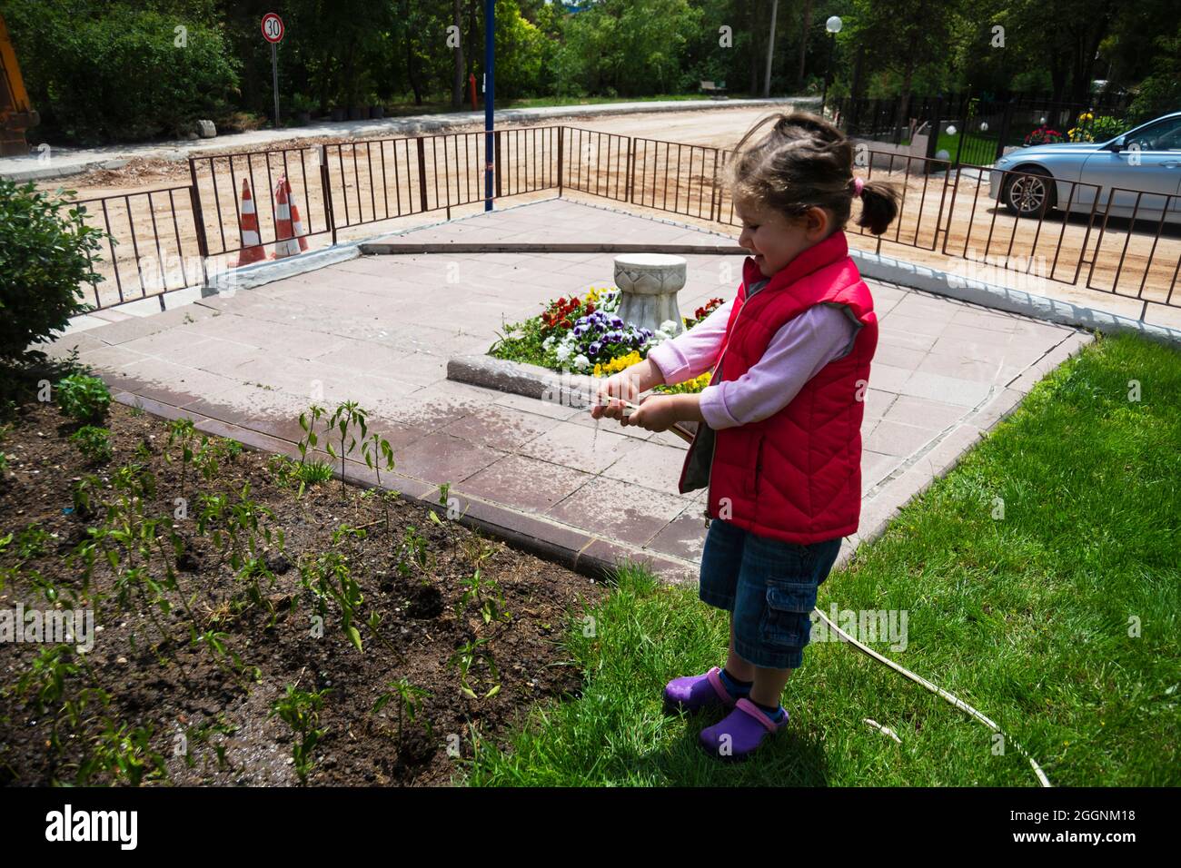 Kleines Mädchen wässert Tomaten und Pfeffer Sämlinge in ihrem Garten mit einem Gartenschlauch. Selektiver Fokus. Stockfoto