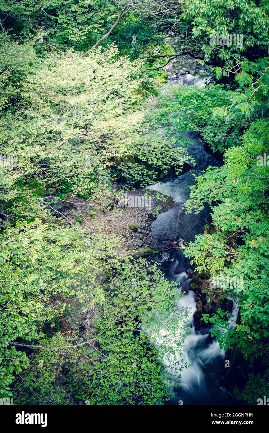 Schöner Fluss mit der Sommersaison im Wald in Japan.Slow Shutter. Bester natürlicher Ort Stockfoto