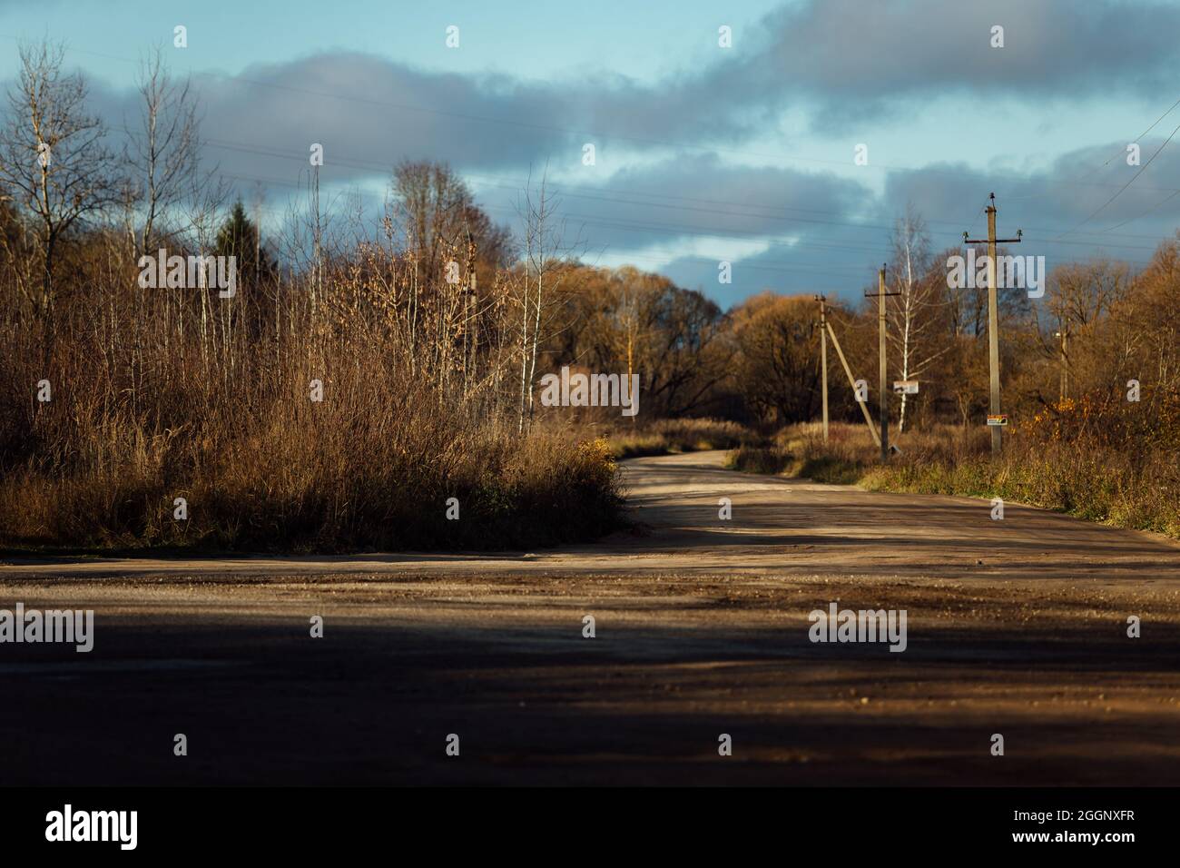 Herbst Industrielandschaft. Wald in der Zeit der Blattfall und verlassene Industriegebäude. Stromleitungen in den Vororten. Werkstätten des alten fa Stockfoto