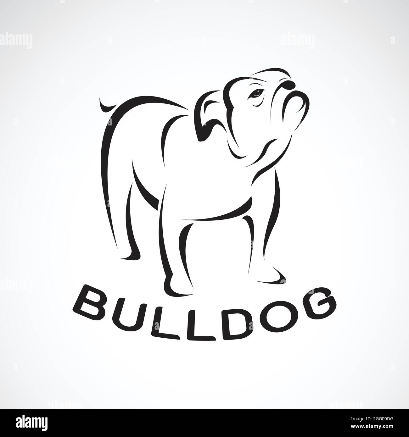 Vektor von Bulldogge-Design auf weißem Hintergrund. Haustier. Tier. Leicht editierbare Vektorgrafik mit Ebenen. Stock Vektor