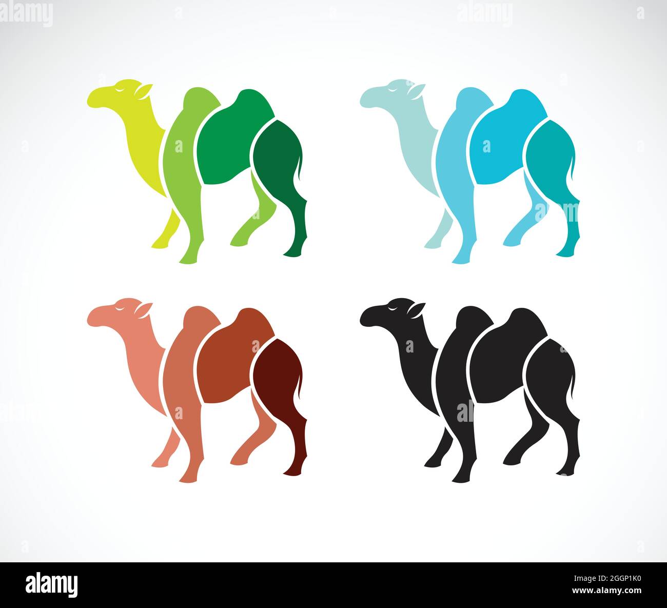 Vektorbild eines Kamels auf weißem Hintergrund. Leicht editierbare Vektorgrafik mit Ebenen. Wilde Tiere. Stock Vektor