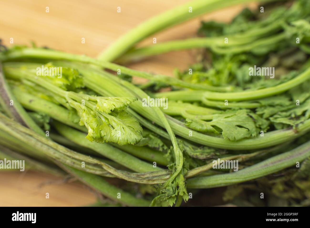Nahaufnahme des verdorrten Coriand auf dem Holztisch Stockfoto