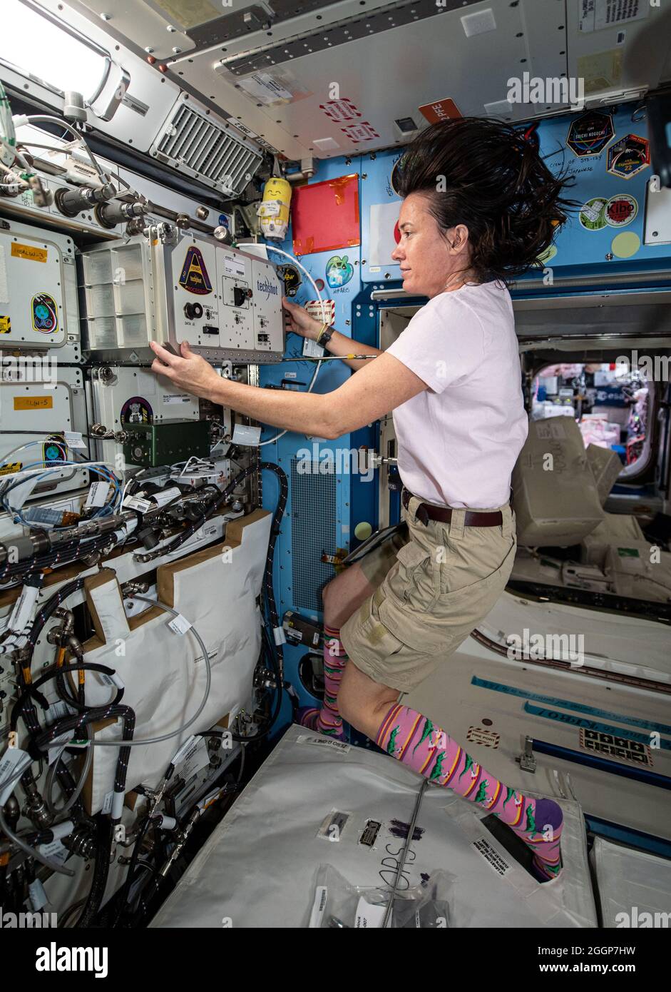 Die NASA-Astronautin Megan McArthur installiert an Bord der Internationalen Raumstation einen neuen Experimentierprozessor mit UMAMI-Proben (Understanding of Microgravity on Animal-Microbe Interactions). Stockfoto