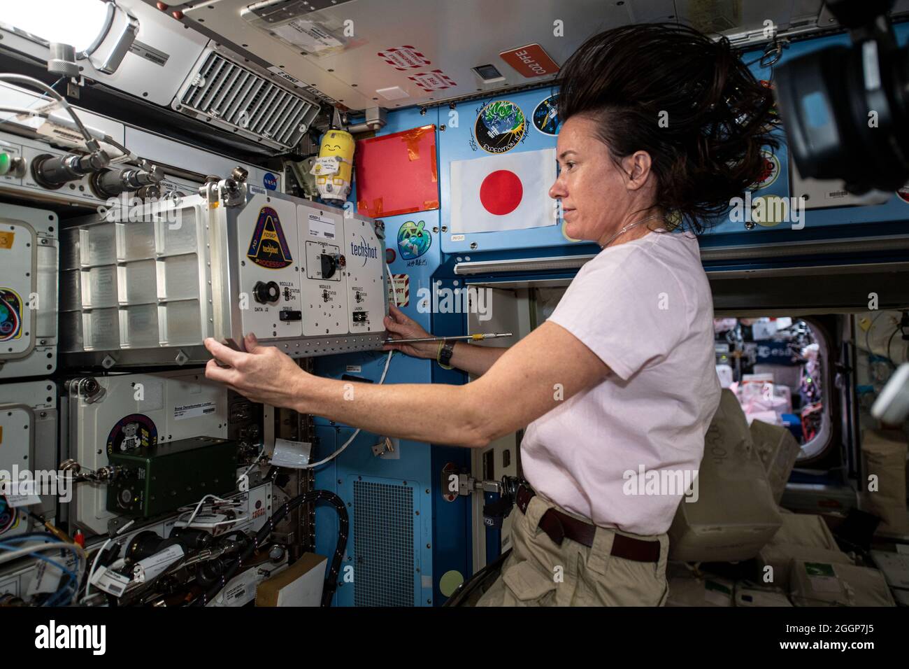 Iss065e093498 (7. Juni 2021) --- die NASA-Astronautin Megan McArthur installiert einen neuen ADSEP-2 (Advanced Space Experiment Processor-2) mit ADSEP-UMAMI-Proben im Kibo-Labormodul an Bord der Internationalen Raumstation (ISS). Das Verständnis der Untersuchung der Mikrogravitation auf Tier-Mikrobe-Interaktionen (UMAMI) untersucht die Auswirkungen der Raumfahrt auf die molekularen und chemischen Wechselwirkungen zwischen nützlichen Mikroben und ihren tierischen Wirten. Die ADSEP-2-Anlage unterstützt die Beobachtung biologischer oder physikalischer Proben und kann auch an Bord des Cargo Dragon und Northrop Grum betrieben werden Stockfoto
