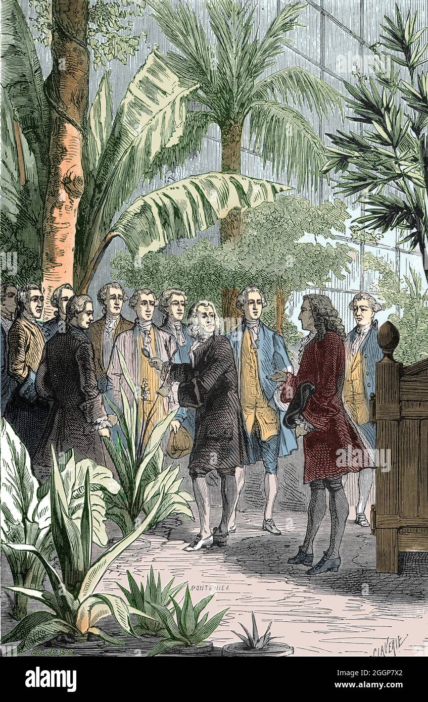 Der schwedische Botaniker Carl Linnaeus (1707 - 1778), rechts, besucht den französischen Botaniker Bernard de Jussieu (1699 - 1777), Mitte und andere Kollegen, im Jardin des Plantes, Paris, Frankreich, 1738. Stockfoto