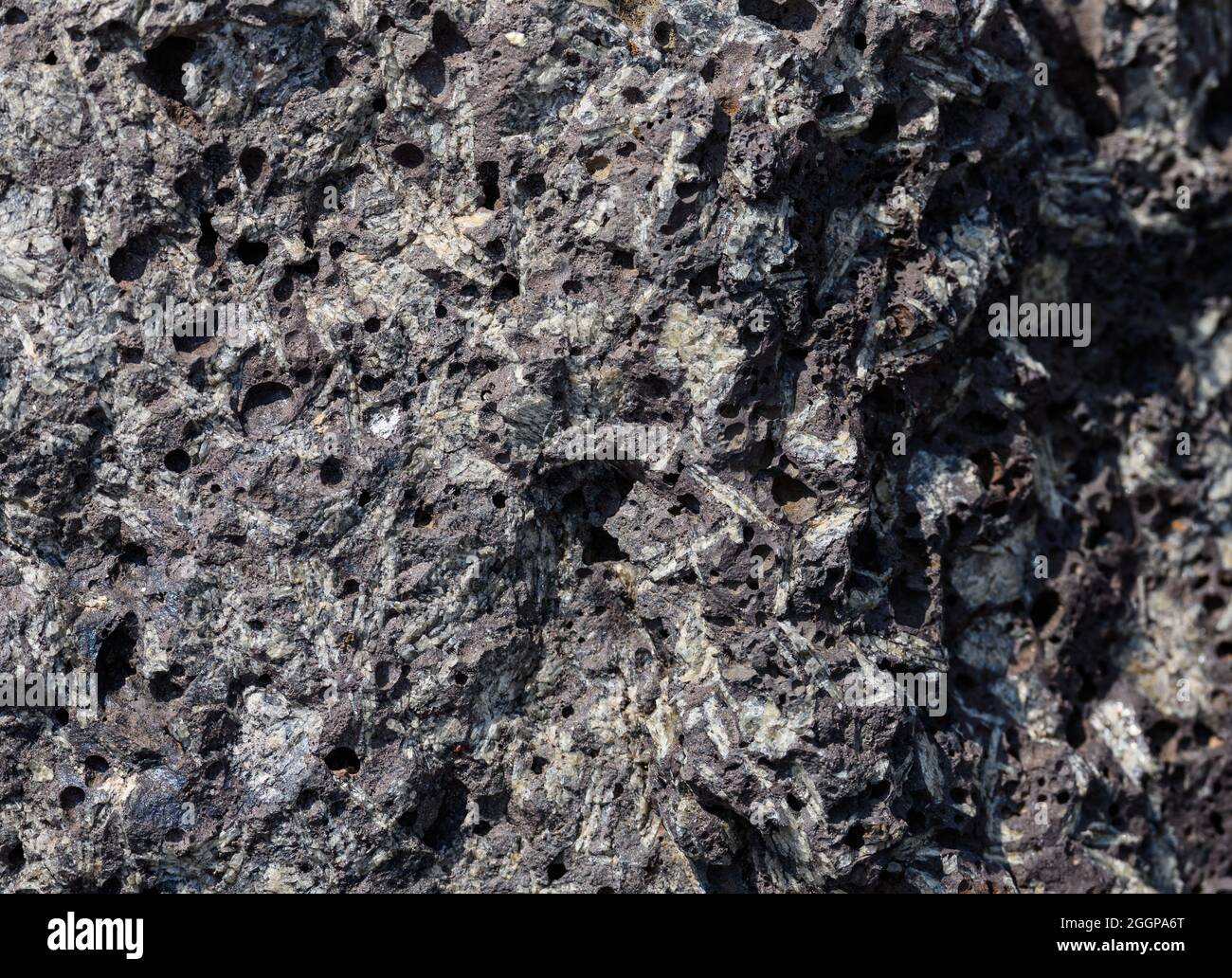 Porphyrisches, igneoses Gestein mit großen Feldspatkristallen. Oregon, USA. Stockfoto