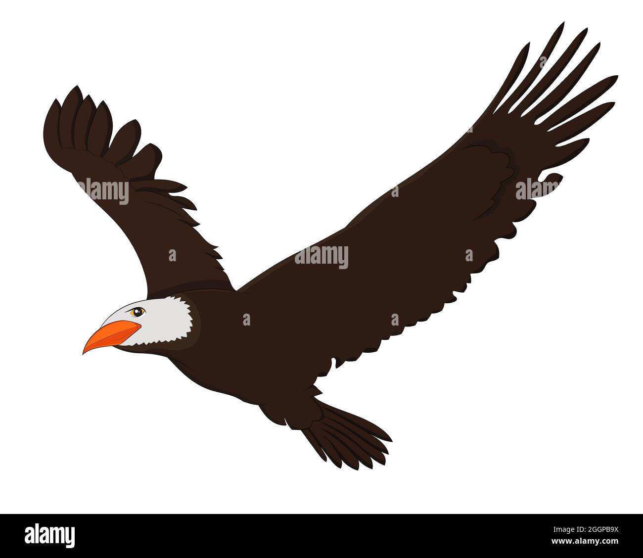Handgezeichnetes Vektorbild eines fliegenden Adlers auf weißem Hintergrund Stockfoto