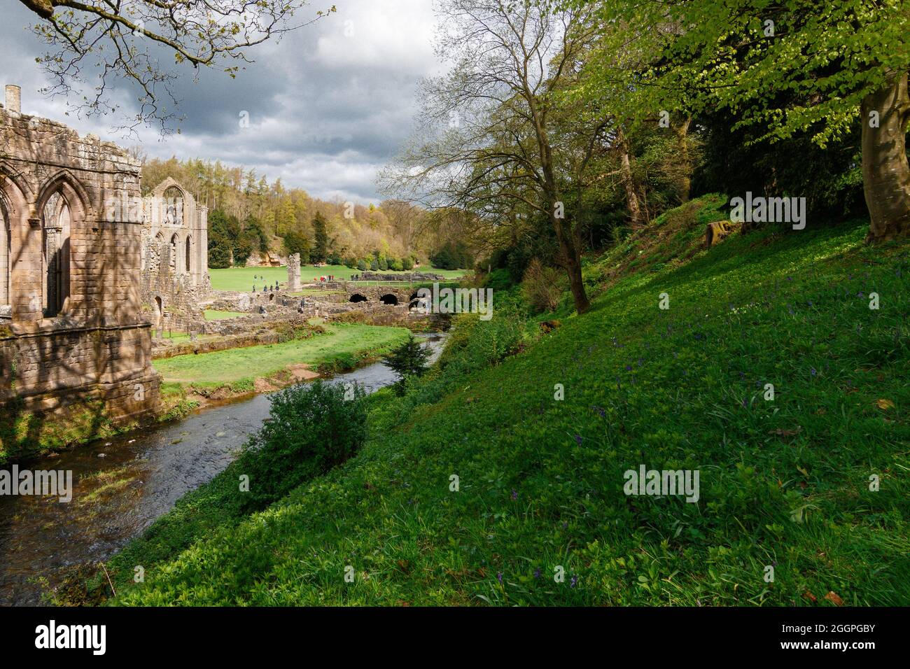 Abfallender Hügel mit Wald und grünem Laub mit der River Skell and Fountains Abbey, Ripon, North Yorkshire, England, Großbritannien. Stockfoto