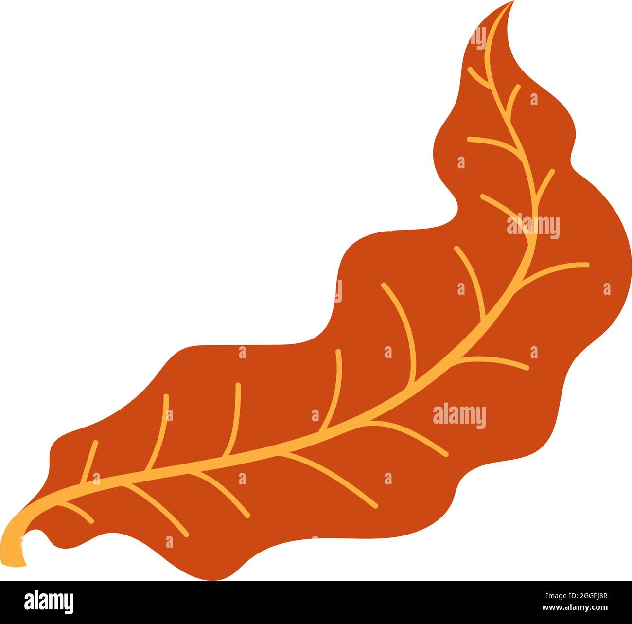 Orangene Herbstblätter Vektorgrafik. Herbstlicher Halloween Rahmen mit Blättern, grafischer Ikone oder Druck isoliert auf weißem Hintergrund Stock Vektor