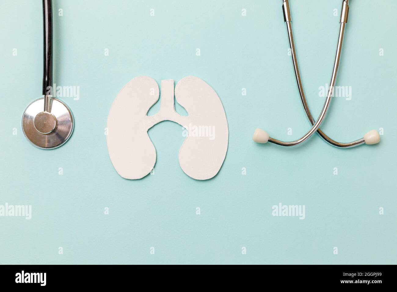 Lunge Gesundheitstherapie medizinisches Konzept. Flaches Lay Design Lungs Symbol Modell, Stethoskop auf pastellblauem Hintergrund. Atemwegserkrankungen Lungenentzündung Tuberkul Stockfoto