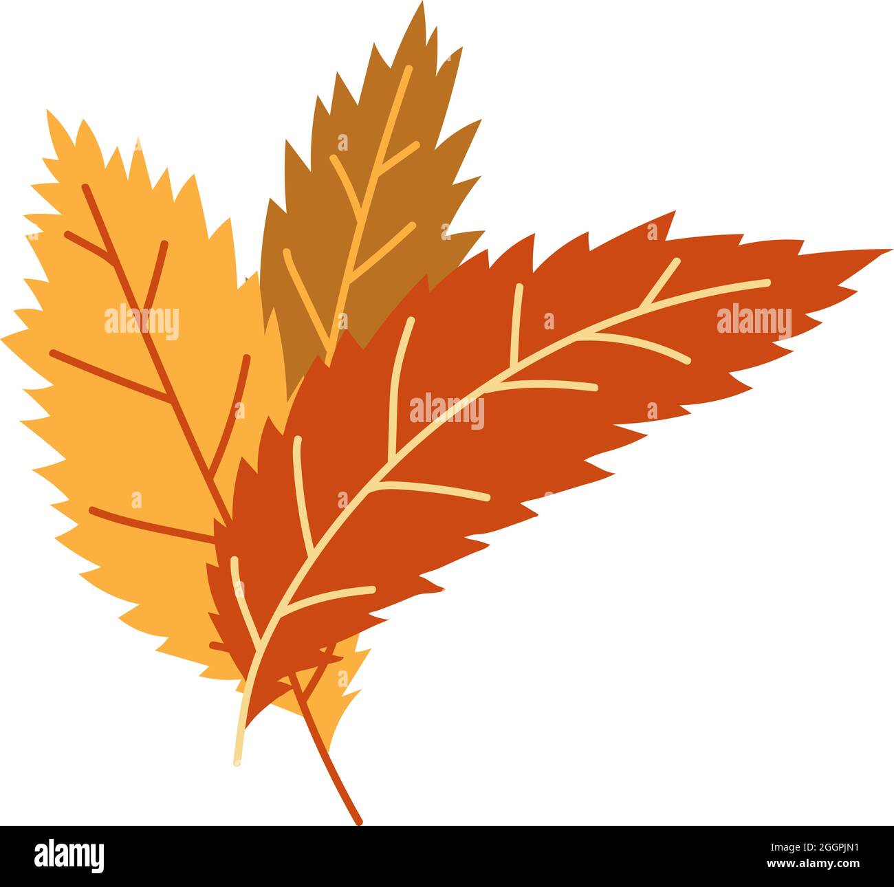 Orangene Herbstblätter Vektorgrafik. Herbstlicher Halloween Rahmen mit Blättern, grafischer Ikone oder Druck isoliert auf weißem Hintergrund Stock Vektor