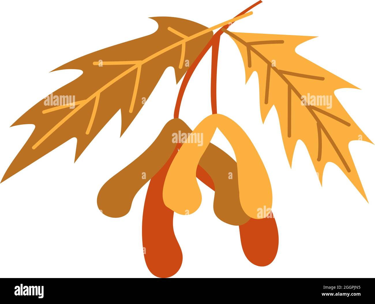 Orangene Herbstblätter Vektorgrafik. Herbstlicher Halloween Rahmen mit Blättern, grafischer Ikone oder Druck isoliert auf weißem Hintergrund Stock Vektor