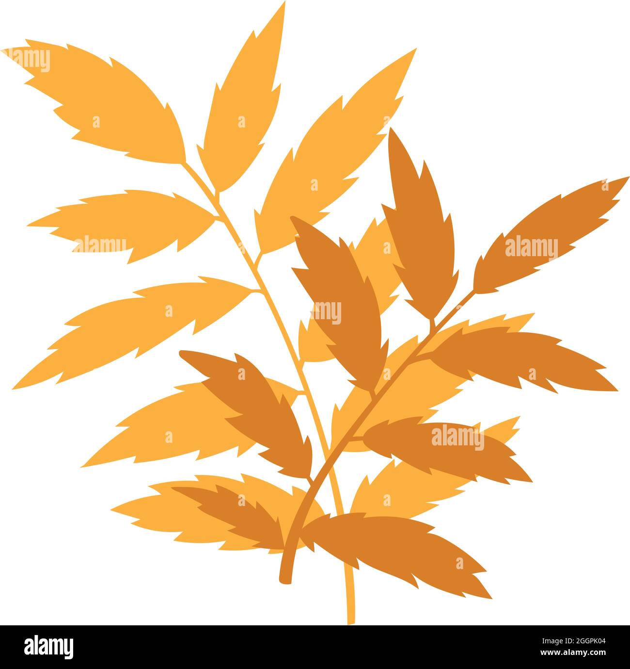 Orangene Herbstblätter Vektorgrafik. Herbstlicher Halloween Rahmen mit Blättern, grafischer Ikone oder Druck isoliert auf weißem Hintergrund Stock Vektor