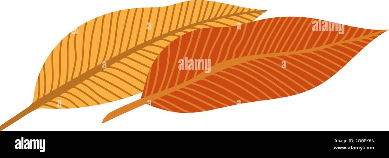 Orangene Herbstblätter Vektorgrafik. Herbstlicher Halloween Rahmen mit Blättern, grafischer Ikone oder Druck isoliert auf weißem Hintergrund Stock Vektor